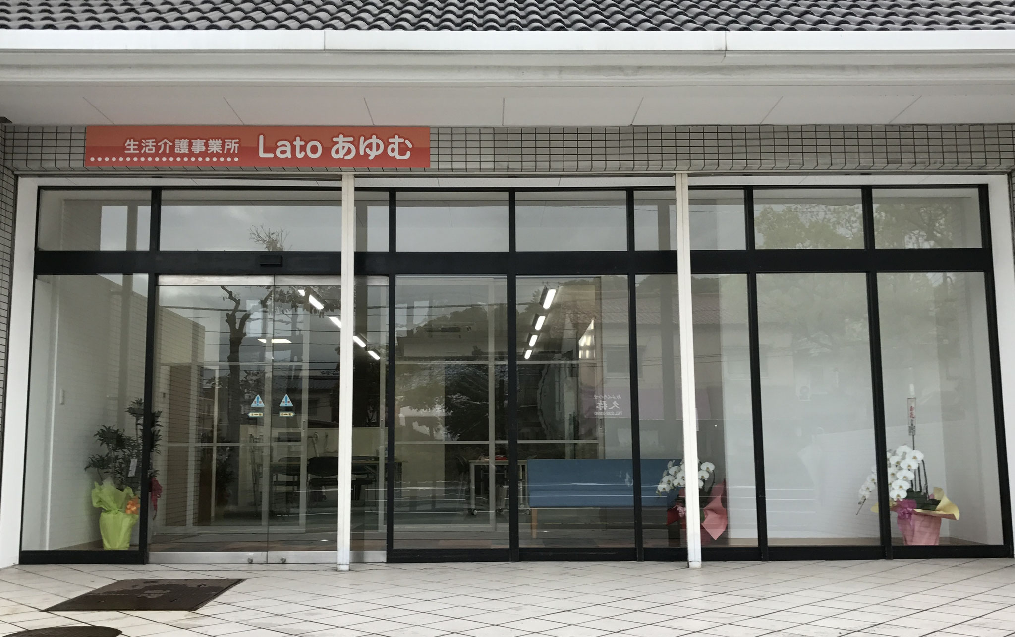 Lato Ayumu